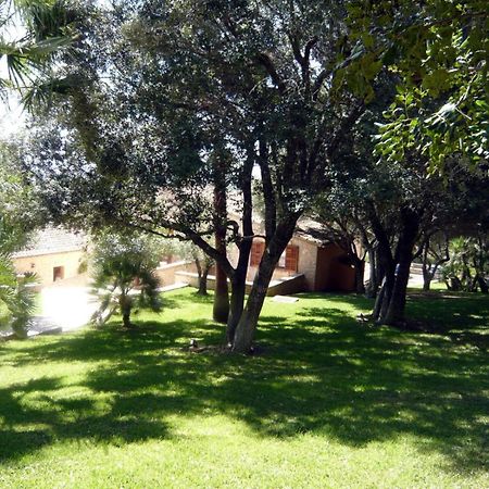 Hotel Rural Son Terrassa Cas Concos Δωμάτιο φωτογραφία