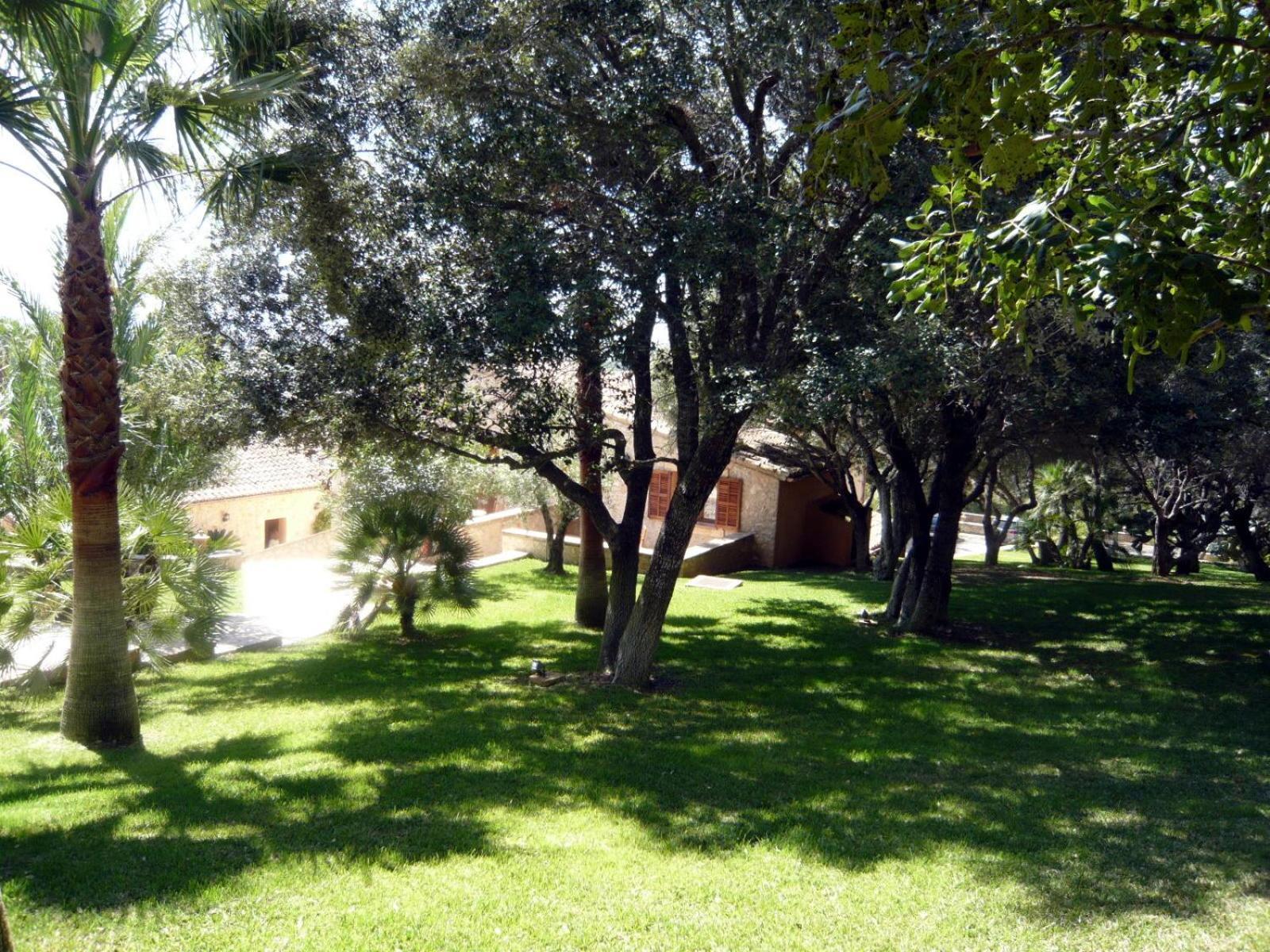 Hotel Rural Son Terrassa Cas Concos Δωμάτιο φωτογραφία