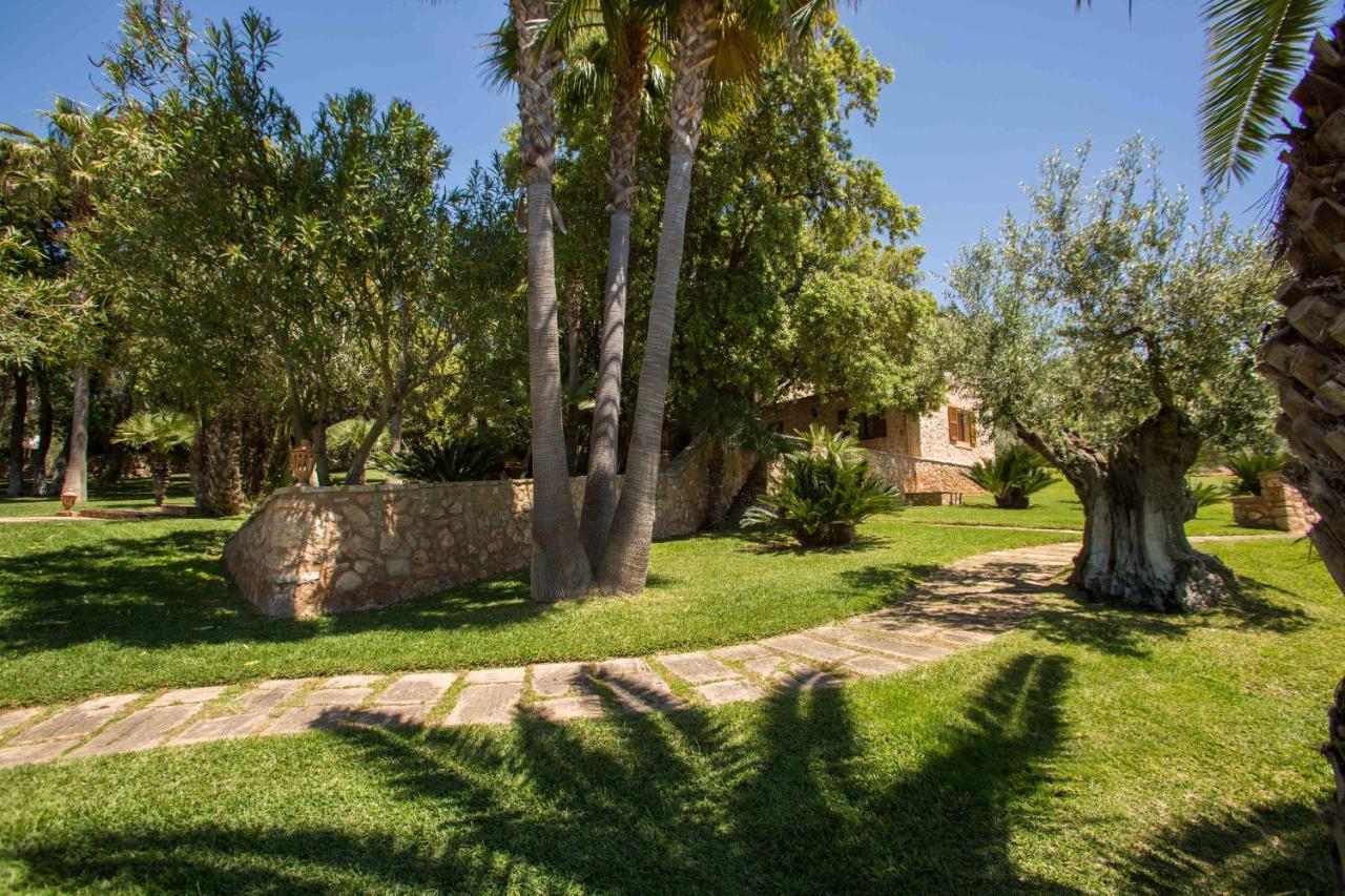 Hotel Rural Son Terrassa Cas Concos Εξωτερικό φωτογραφία